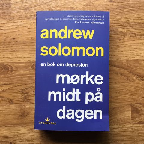 Mørke midt på dagen - en bok om depresjon