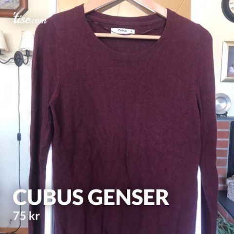 Cubus genser