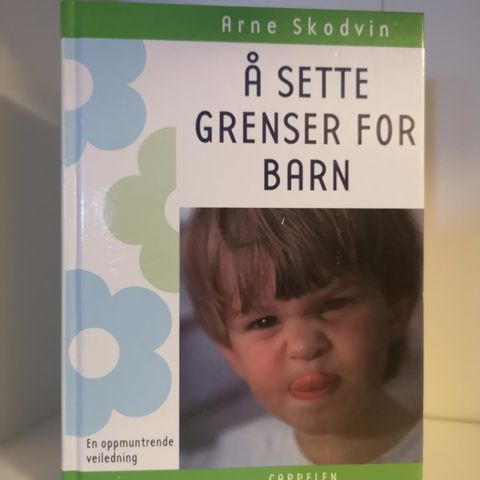 Å sette grenser for barn