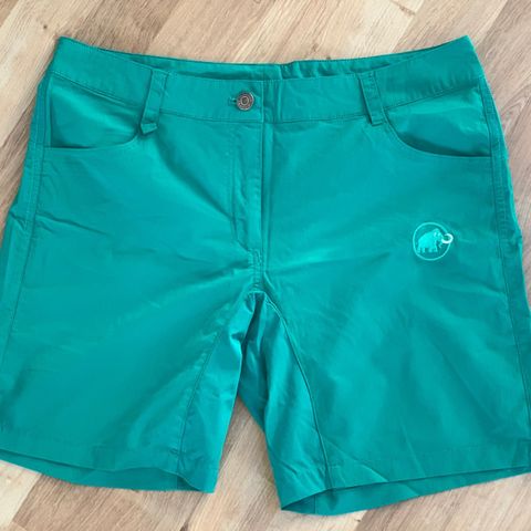 Mammut shorts