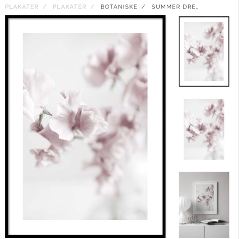 2 orchids poster from DESENIO
