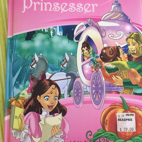 Den store boken om Prinsesser