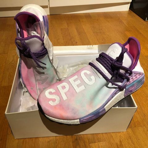 Human race holi 46