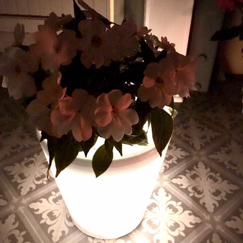 Stor blomsterpotte med elektrisk lys. Perfekt på veranda, balkong, terrasse🤩