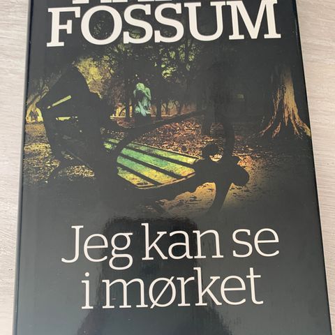 Karin Fossum: Jeg kan se i mørket