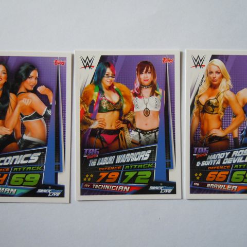 WWE WWF Wrestling Slam Attax Universe 3 samlerkort : Tag Team