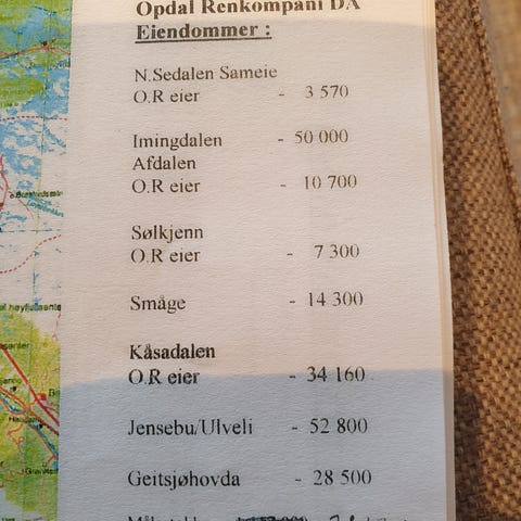 Annonsebilde