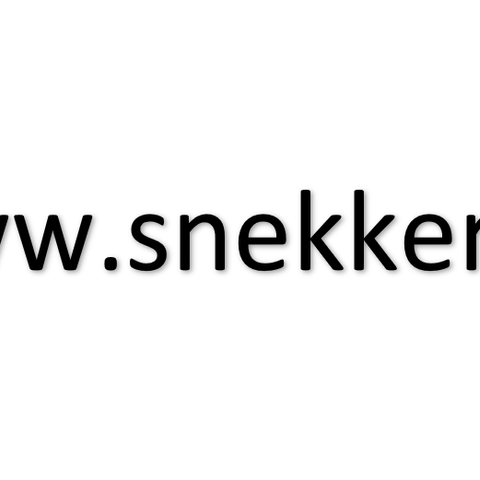 www.snekker.as