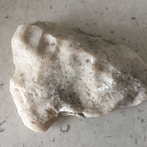 Geological Sample: Gypsum