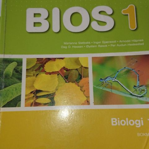 Bios 1