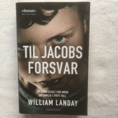 BokFrank: William Landay; Til Jacobs forsvar (2014)