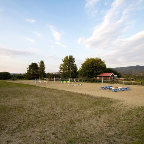 Ledig stallplass på utegang med ridehus.