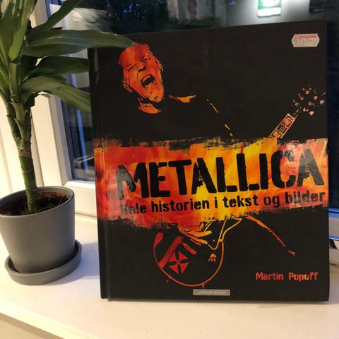 Musikk-bøker: Metallica, Pink Floyd og Red Hot Chili Peppers