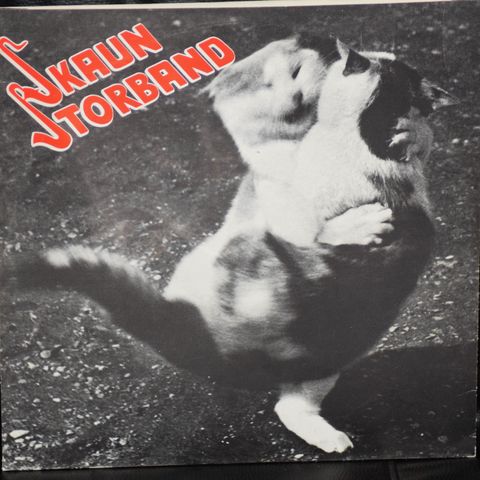 Skaun Storband – Skaun Storband, 1985