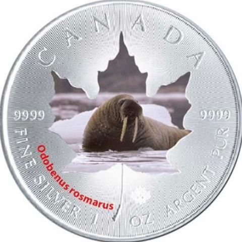 Canada - 5 Dollar 2015 - Wildlife Series - Walross - 1 Oz - Sølv