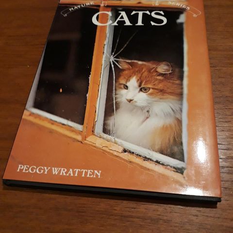 Cats - Peggy Wratten - 1977