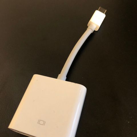 Apple mini displayport til DVI adapter