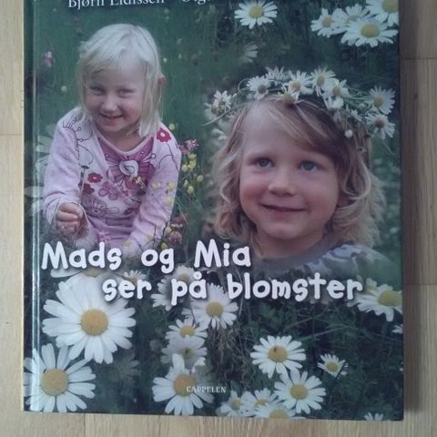 Mia og Mads ser på blomster - Bjørn Eidissen/olgunn ransedokken