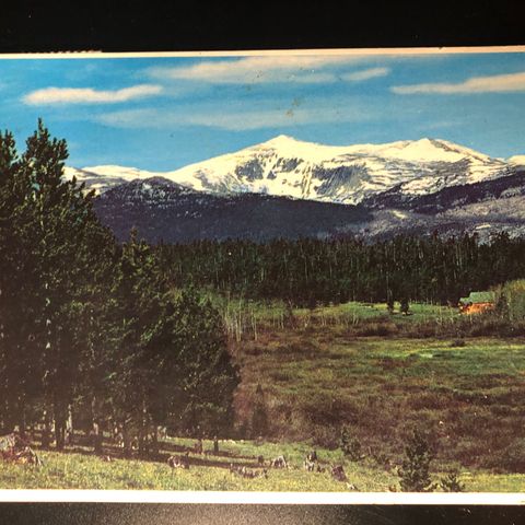 Big Horn Mountains (463)