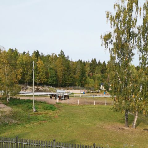 Annonsebilde