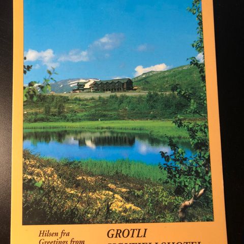 Grotli Høyfjellshotell (485)