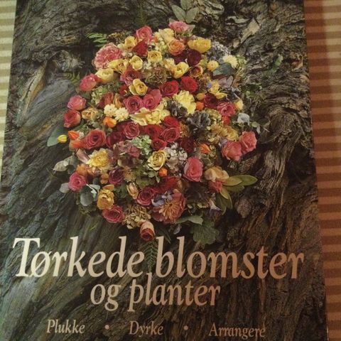 Tørkede blomster og planter