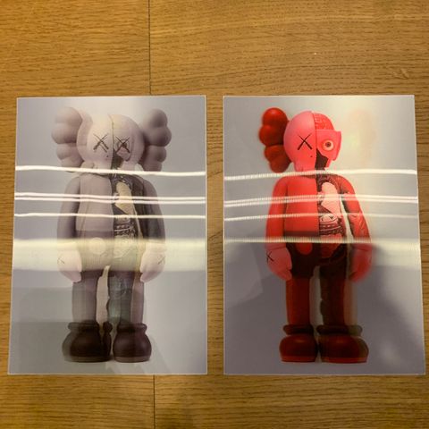 Kaws NGV postcard (post-kort)