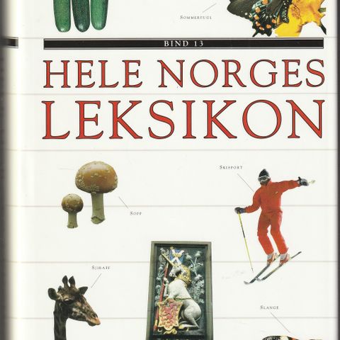 Hele Norges Leksikon bind 13