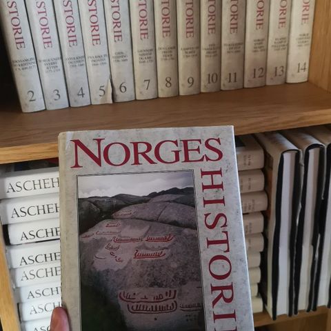 Norge historie bøker