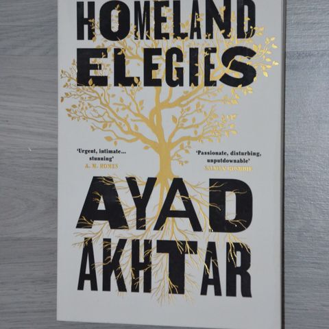 Kritikerrost bok Homeland Elegies på engelsk