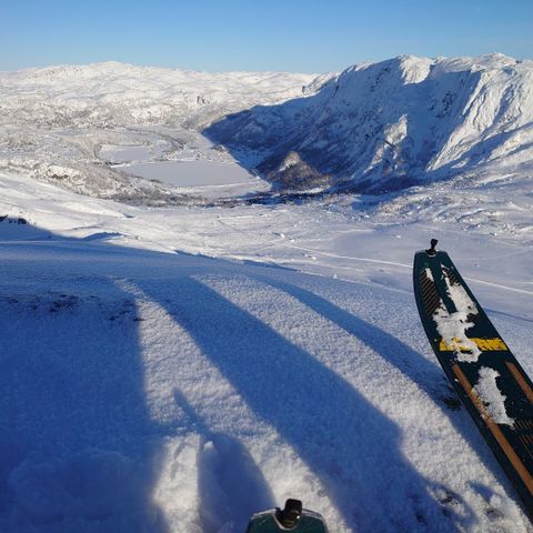 Ønskes kjøpt: én ski av type Dynafit Chugash 182 cm