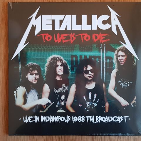 Metallica - To Live Is To Die (Bootleg).