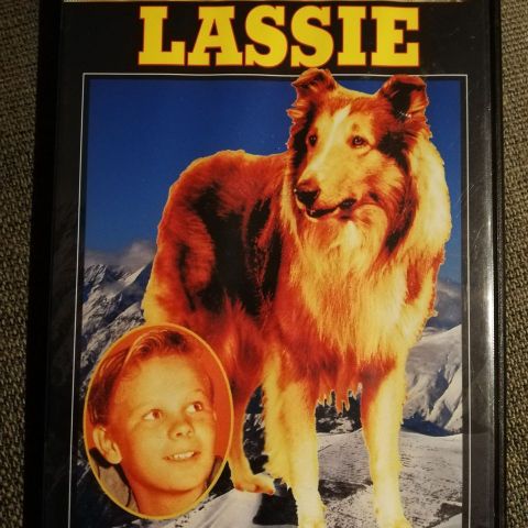 Lassie (DVD) 1951