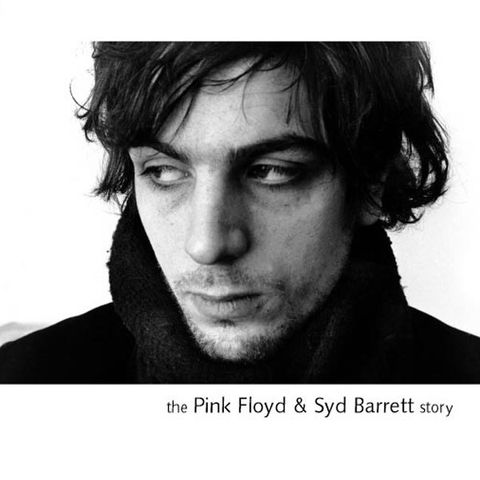 Pink Floyd & Syd Barrett / Various-The Pink Floyd & Syd Barrett Story(DVD)