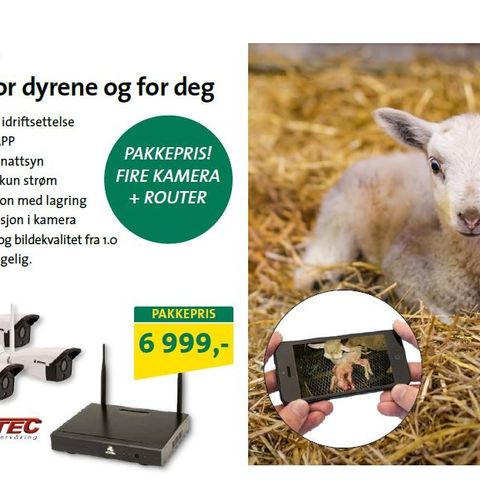 Annonsebilde