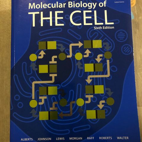 Molecular Biology of the Cell