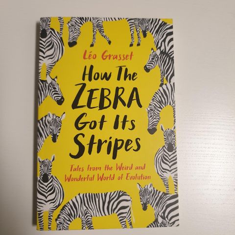 How the zebra got its stripes