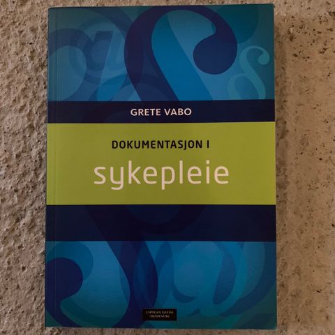 Dokumentasjon i sykepleie - Grete Vabo