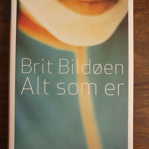 Alt som er. Brit Bildøen