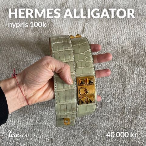 Hermes alligator