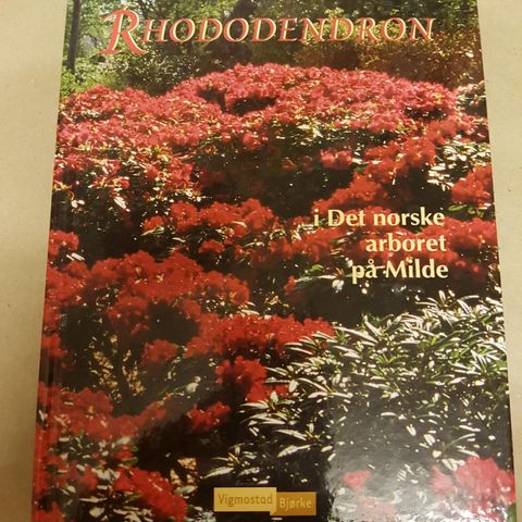 RHODODENDRON