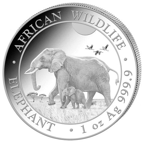 Somalia 2022 ELEPHANT - 1 OZ AFRICAN WILDLIFE