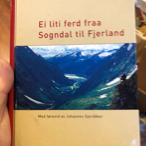 Ei liti ferd fraa Sogndal til Fjerland av Henrik Krohn til salgs.