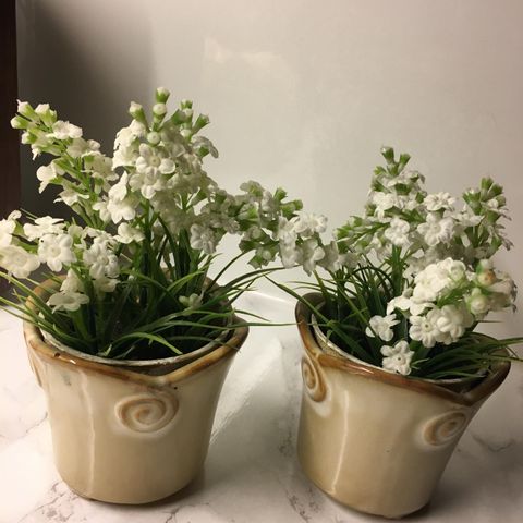 2 stk små blomster potter med blomster.
