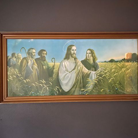 Bilde av jesus i kornåkeren