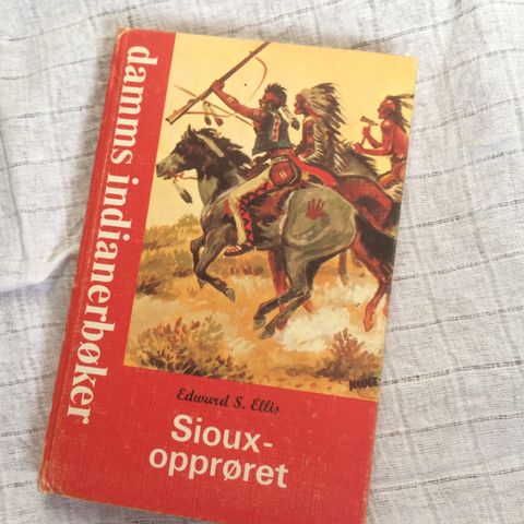 Sioux-opprøret (Ellis, Damms indianerbøker)