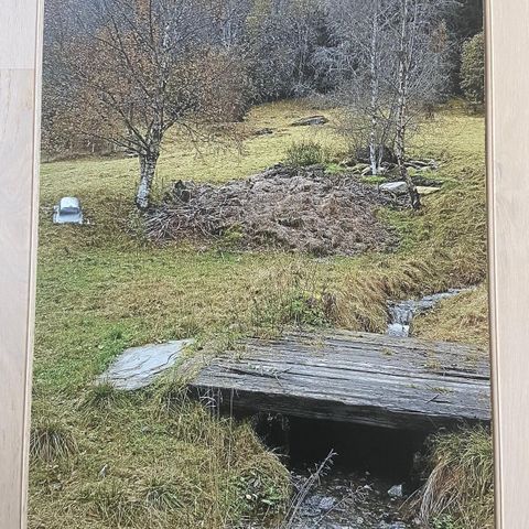 Bilder, 60 x 90 cm størrelse, på aluminiumsplate