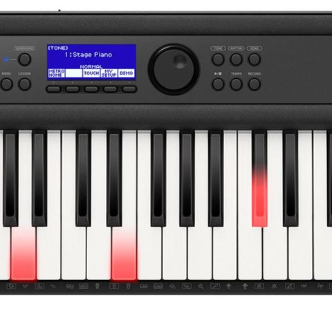 Casio LK-S450 keyboard m/mikrofon og lystangenter. .Spill og syng.
