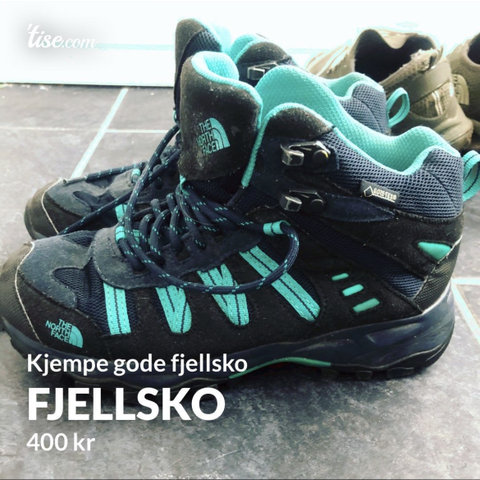 Fjellsko