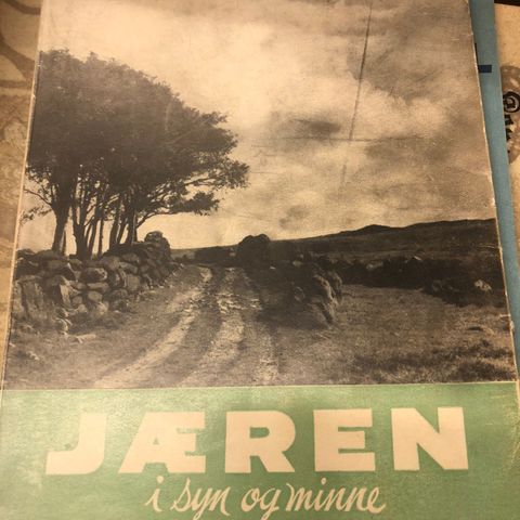 Theodor Dahl : Jæren i syn og minne til salgs.